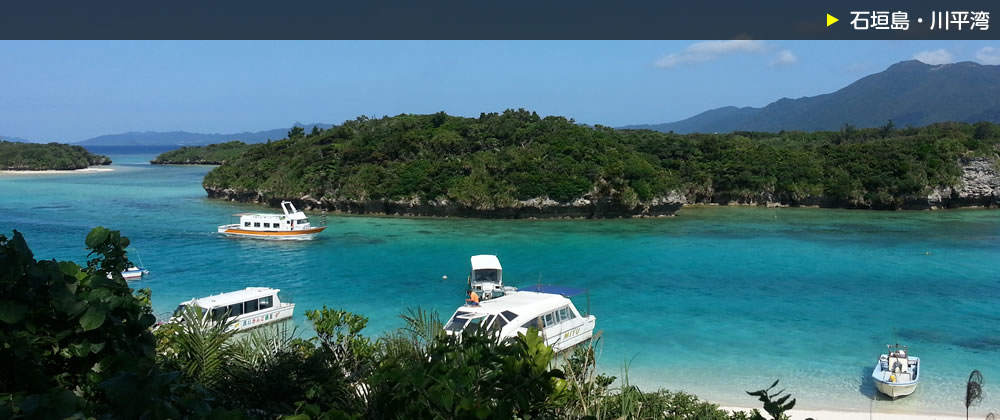 石垣島八重山観光サービス