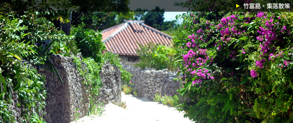 石垣島八重山観光サービス