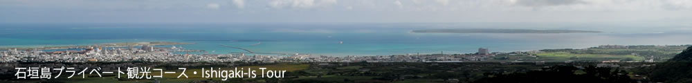 石垣島八重山観光サービス・石垣島プライベートコース